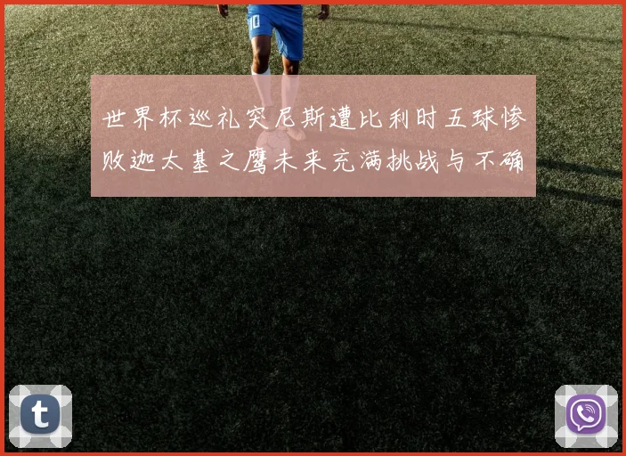 世界杯巡礼突尼斯遭比利时五球惨败迦太基之鹰未来充满挑战与不确定性