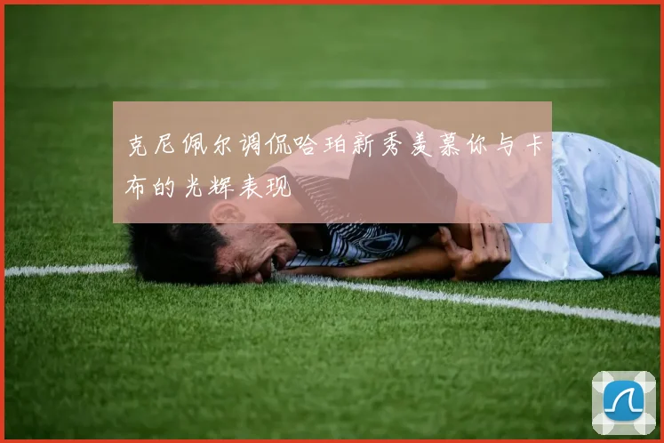 克尼佩尔调侃哈珀新秀羡慕你与卡布的光辉表现